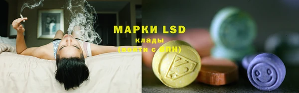 мяу мяу мука Мегион