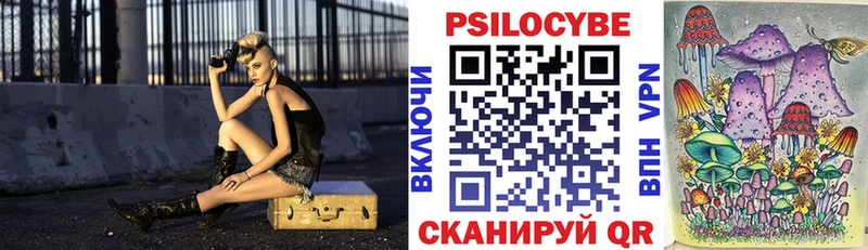 Купить где  Жуковка  Псилоцибиновые грибы Psilocybe 